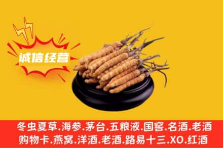 贵港回收冬虫夏草